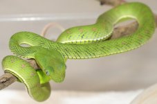 IMG_5682.JPG