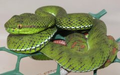 IMG_5680.JPG