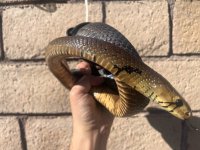 IMG_5768.jpeg