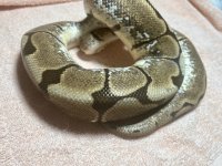 IMG_1220-min.jpeg