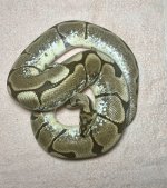 IMG_1219-min.jpeg