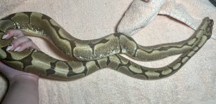 IMG_1224-min.jpeg