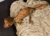 IMG_3689.jpg