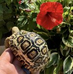 IMG_1816.jpeg