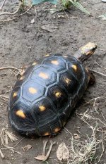 IMG_0644.jpeg