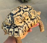 IMG_1873.jpeg