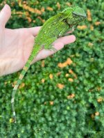 IMG_3101.jpg