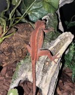 IMG_4031.jpeg