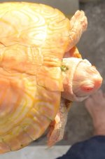 IMG_0865.jpeg