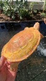 IMG_0879.jpeg