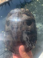 IMG_0887.jpeg