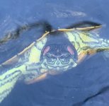 IMG_1723.jpeg