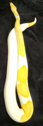 20241008_104931.jpg