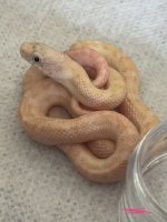 IMG_6873.jpeg