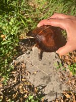 IMG_0770.jpeg