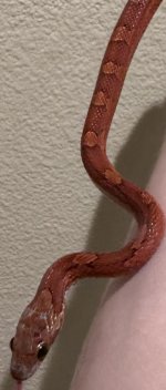 IMG_9102.jpeg