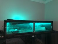 IMG_6723.jpeg