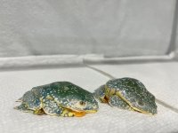 IMG_5505.jpg