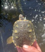 IMG_1414.jpeg