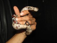 IMG_0676.jpeg