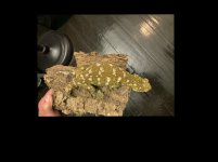IMG_4326.jpeg
