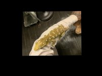 IMG_4328.jpeg