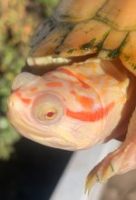 IMG_1382.jpeg