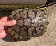 IMG_1497.jpeg