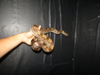 IMG_0715.jpeg