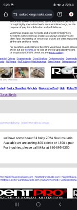 Screenshot_20241101_212813_Chrome.jpg