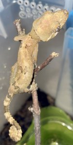IMG_7718.jpeg