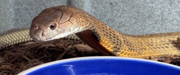 IMG_4446.jpeg