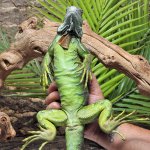UG_3_4_ft_green_iguana_3.jpg