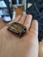 20241105_154602.jpg