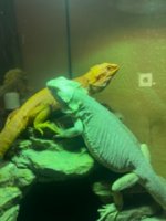 IMG_20241106_151014.jpg