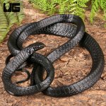 ug_Black_Tree_Snake_3.jpg