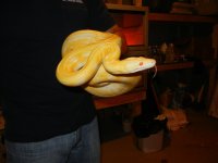 wes snakes 001.jpg