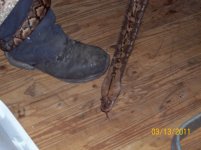 100_0305.jpg