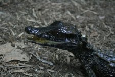 IMG_8858.jpg