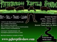 Flyer (1).jpg