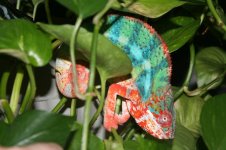 IMG_2830x.JPG
