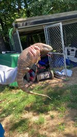 IMG_3533.jpeg