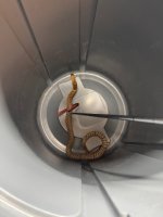 IMG_5303.jpeg