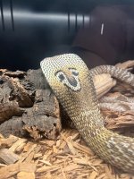 IMG_8512.jpeg