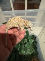 IMG_6322.jpeg