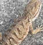 IMG_8752.jpeg