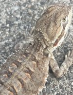 IMG_8751.jpeg