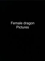 IMG_3820.jpeg