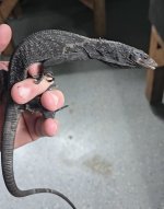 Screenshot_20241120_195355_Gallery.jpg