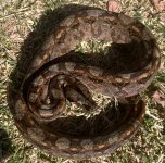IMG_5959.jpeg